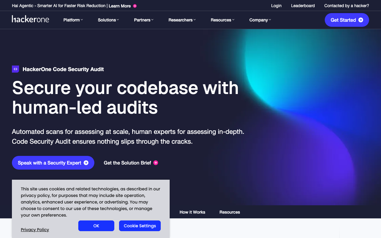 HackerOne Code Security security scanning tool screenshot